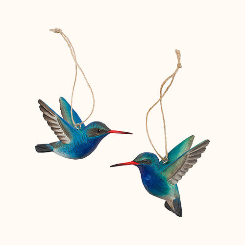 kolibrík modrý Wildlife Garden
