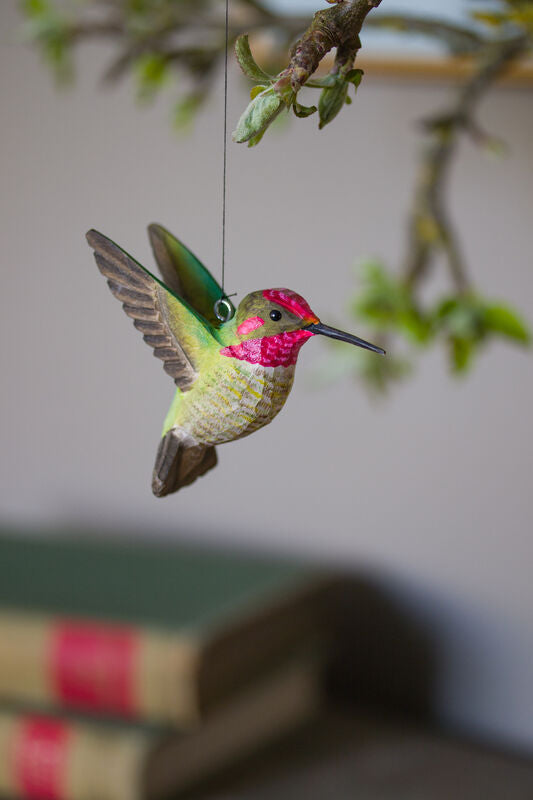Kolibrík ružovo-zelený